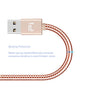Pi Armor Bi-Directional USB-C Rose Gold - Pi Electronics